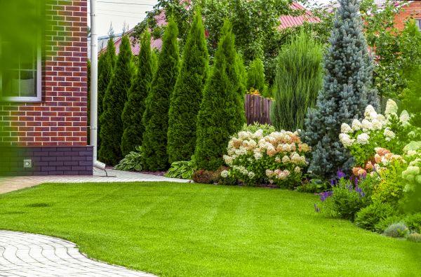 Spring Landscaping in Louisville