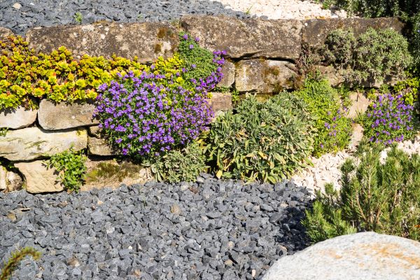 Landscaping Rocks Installation in Louisville