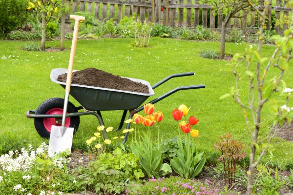 Spring Yard Renovation in Louisville