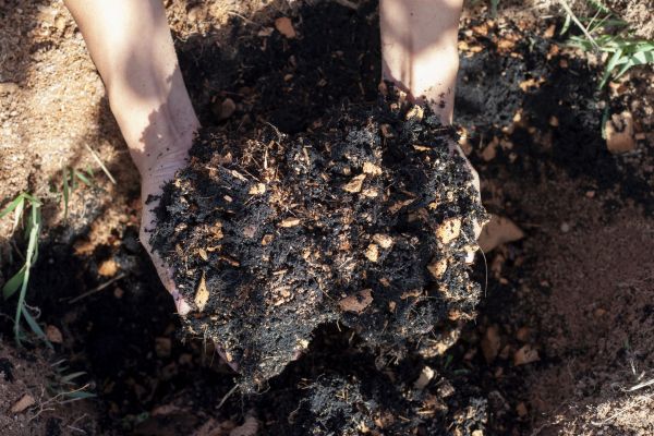 Organic Mulch Installation in Louisville