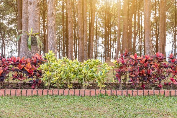 Small Garden Landscaping in Louisville