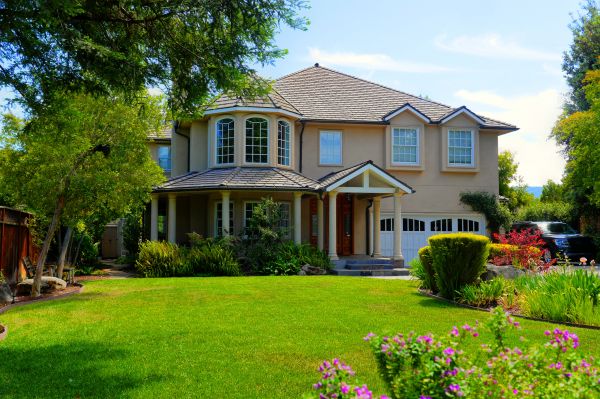 Large Yard Landscaping in Louisville