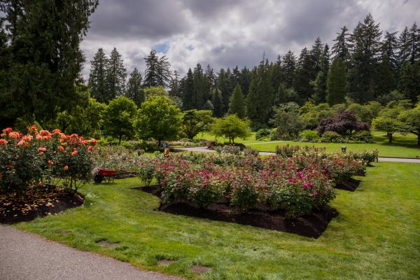 Flower Garden Landscaping in Louisville
