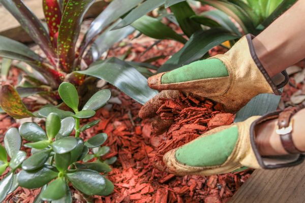 Residential Mulching in Louisville