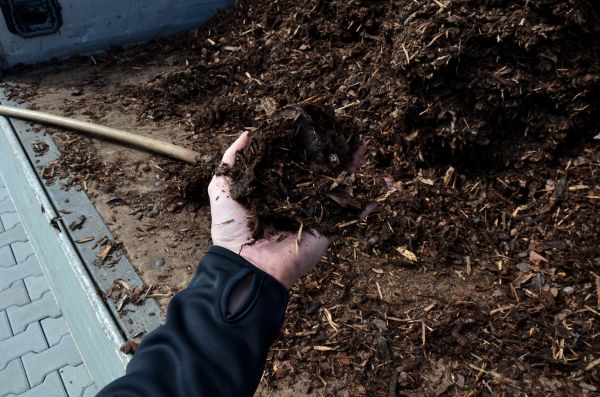 Condo Mulching in Louisville