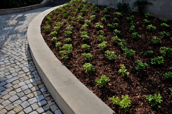 Commercial Mulching in Louisville