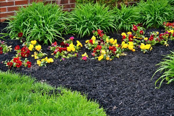 Apartment Mulching in Louisville