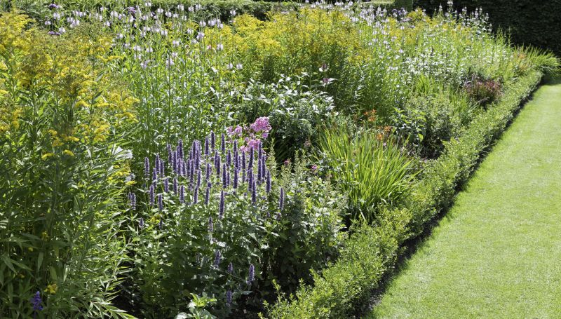 Native Plant Gardens