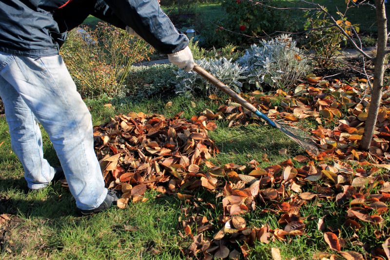 Seasonal Landscaping Maintenance