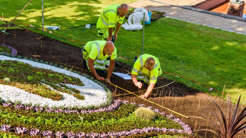 Colorful Flower Beds