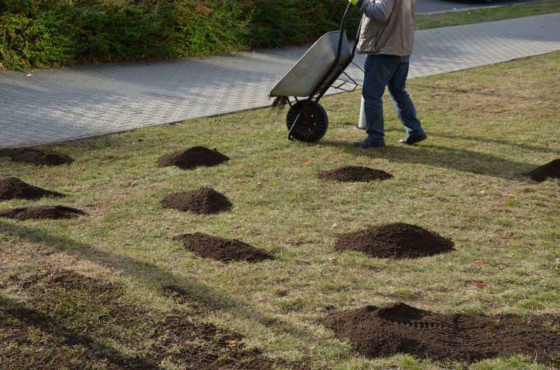 Lawn Rut Repair