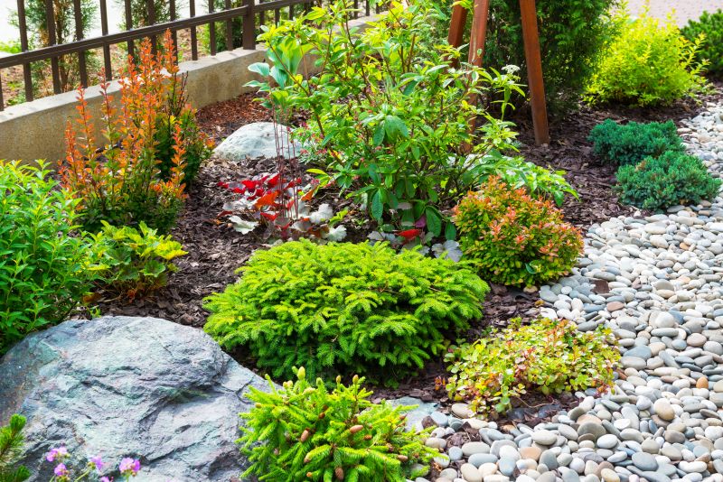 Xeriscape Landscaping